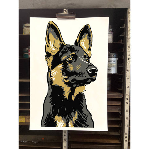 RAN-57 German Shepherd 2