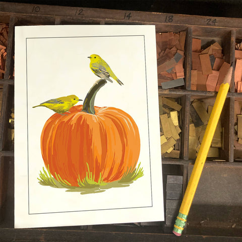 RBI-40 Warblers & Pumpkin