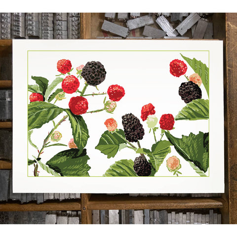 RFM-176 Blackberries