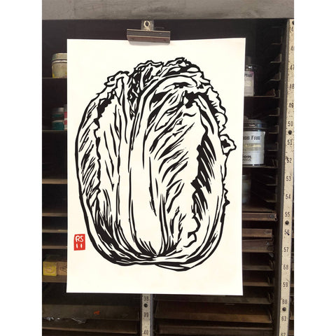 RFM-527 Napa Cabbage