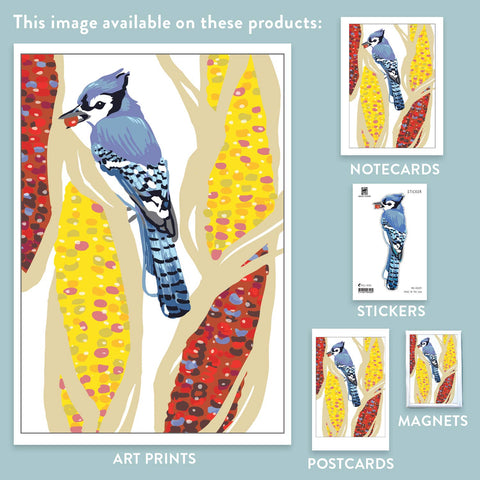 RBI-229 Blue Jay and Corn