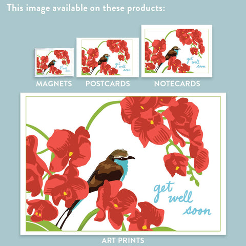 RGW-100 Orchids - Get Well Soon
