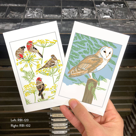 RBI-120 Finches & Fennel Flowers