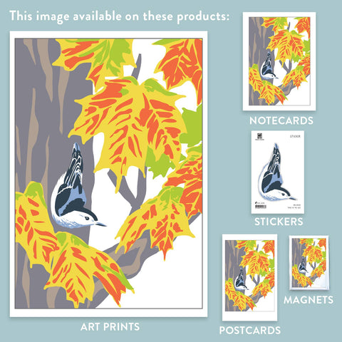 RBI-150 Nuthatch & Sugar Maple