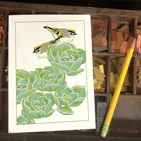 RBI-121 Golden-Crowned Kinglet & Succulents