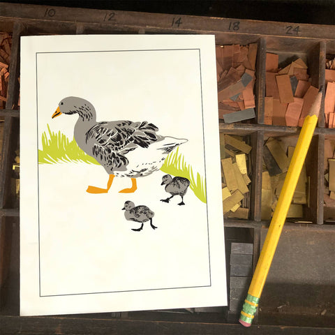 RBI-12 Goose Family