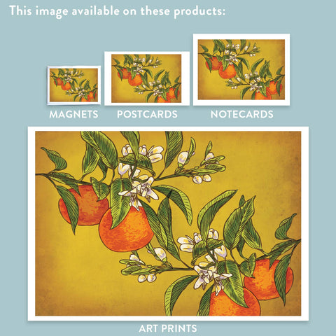RFM-405 Oranges