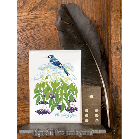RMY-166 Blue Jay & Elderberry - Missing You