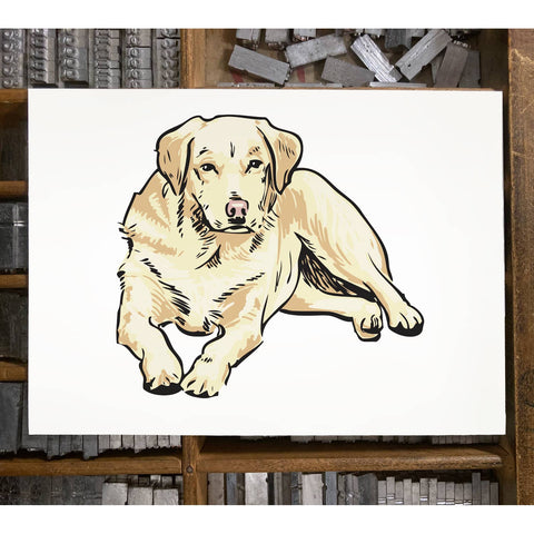 RAN-64 Labrador Retriever, Golden