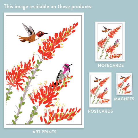 RBI-164 Ocotillo and Hummingbirds