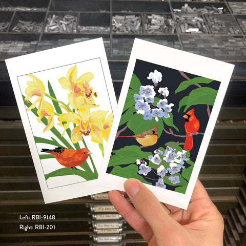 RBI-201 Catalpa & Cardinal