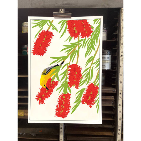 RBI-119 Bottlebrush & Prothonotary Warbler
