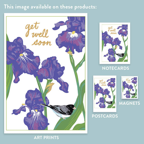 RGW-187 Junco & Iris - Get Well Soon