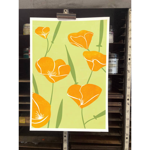 RFL-307 California Poppies