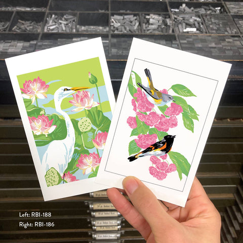 RBI-186 American Redstart and Cherry