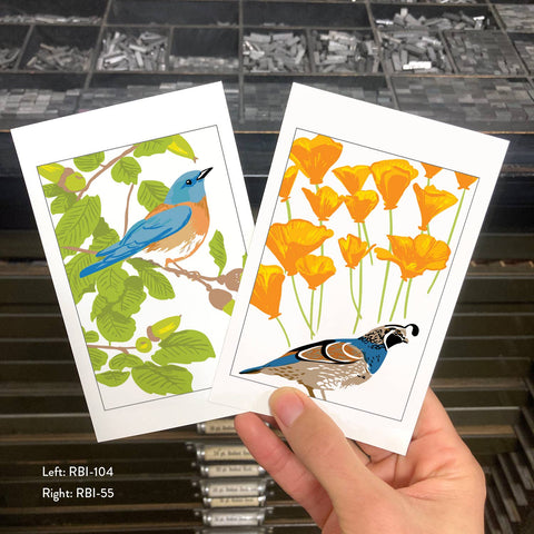 RBI-104 Bluebird & Live Oak