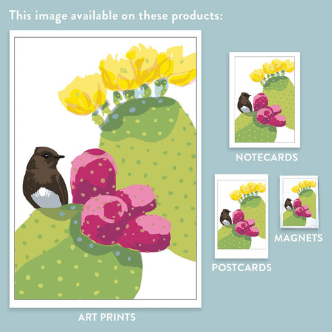 RBI-228 Black Phoebe and Cactus Fruit