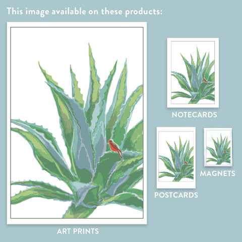 RBI-98 Agave & Flycatcher