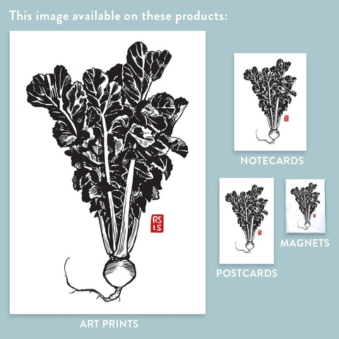 RFM-530 Round Daikon