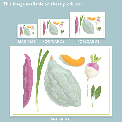 RFM-418 Hubbard Squash