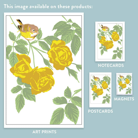 RBI-105 Vireo & Yellow Roses