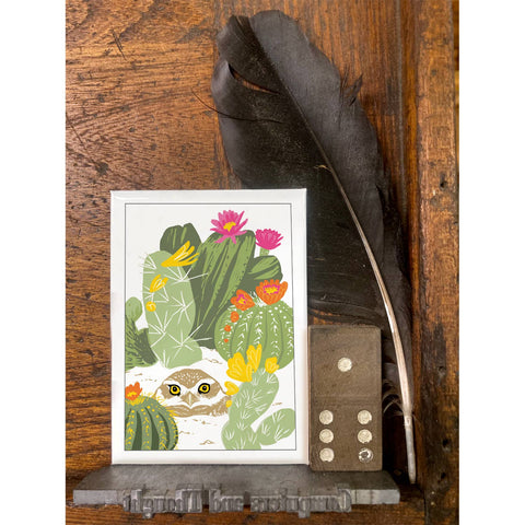 RBI-165 Burrowing Owl and Cacti