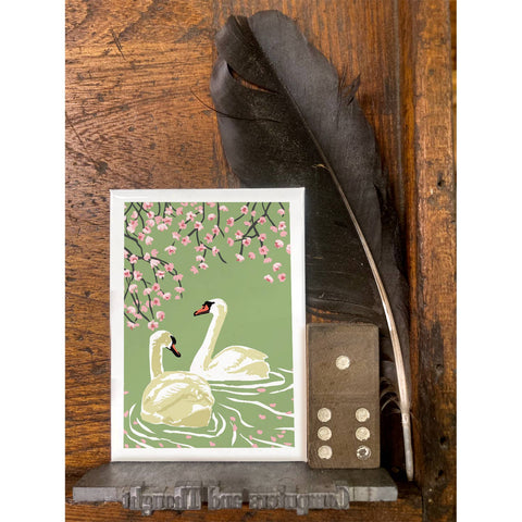 RBI-133 Swans & Cherry Blossoms