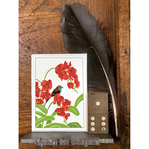 RBI-100 Orchids