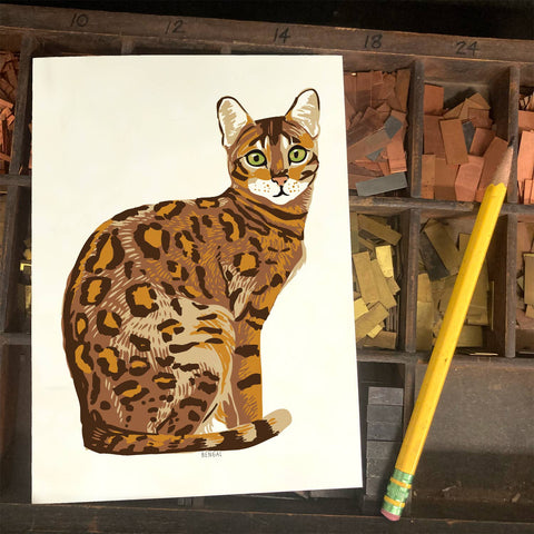 RAN-43 Bengal Cat