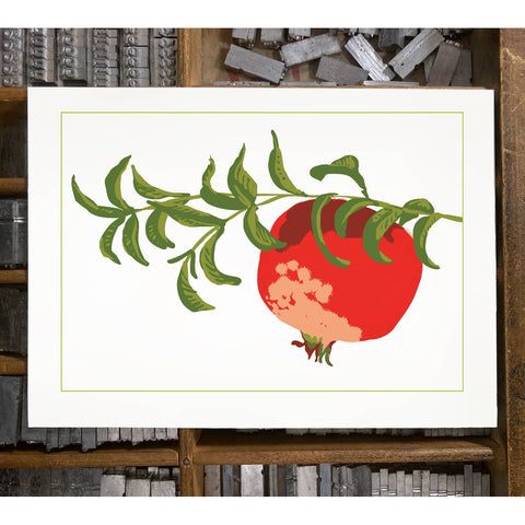 RFM-42 Pomegranate