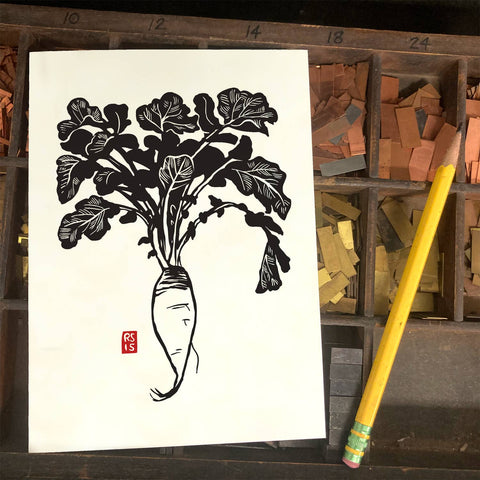 RFM-536 Long Daikon
