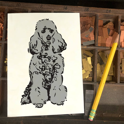 RAN-68 Poodle, Grey