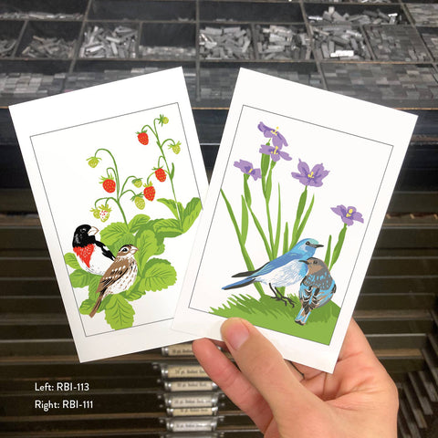 RBI-111 Bluebirds & Blue-Eyed Grass