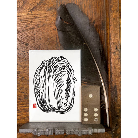 RFM-527 Napa Cabbage