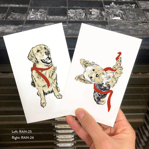 RAN-25 Yorkie and Red Ribbon