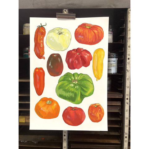 RFM-507 Big Tomatoes