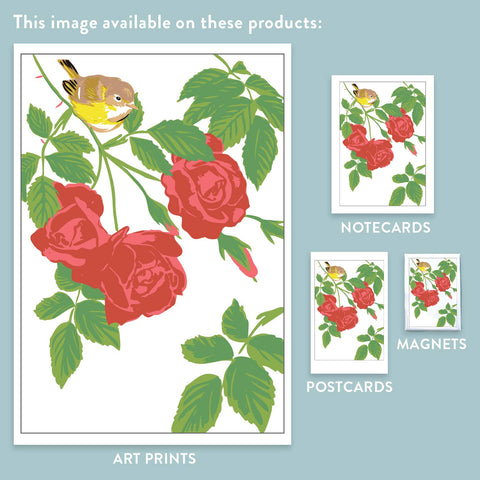 RBI-103 Vireo & Red Roses