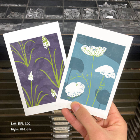 RFL-312 Queen Annes Lace