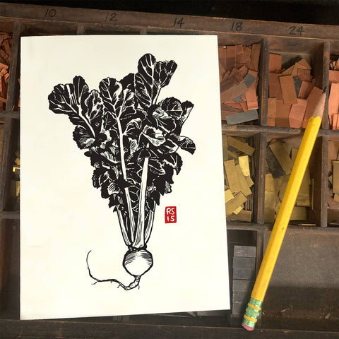 RFM-530 Round Daikon