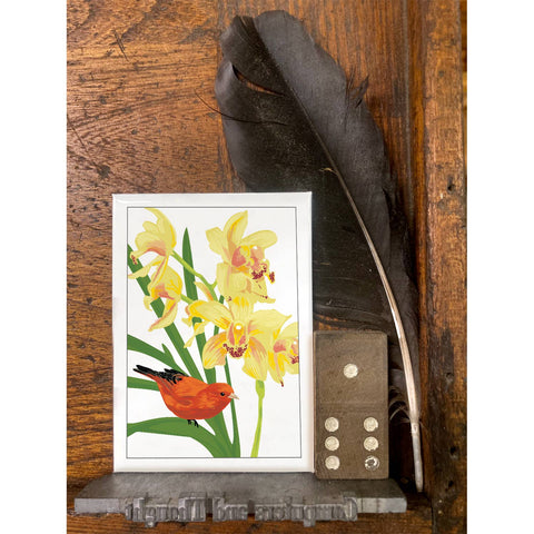 RBI-9148 Akepa and Orchid