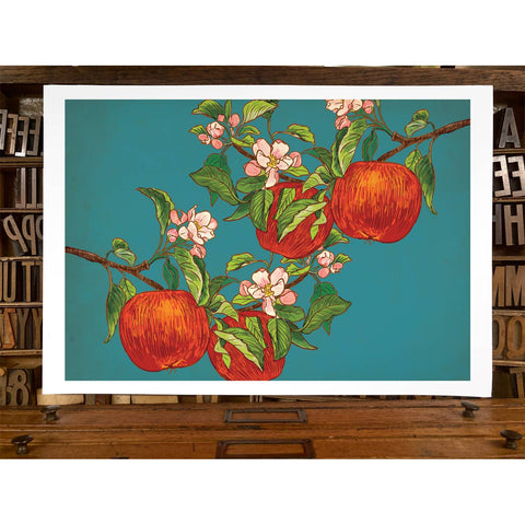 RFM-401 Apples