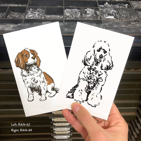 RAN-69 Poodle, White