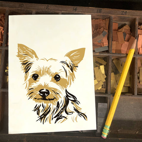 RAN-74 Yorkie