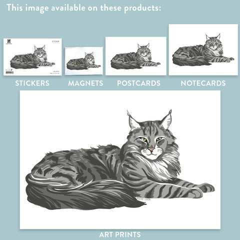 RAN-33 Maine Coon Cat
