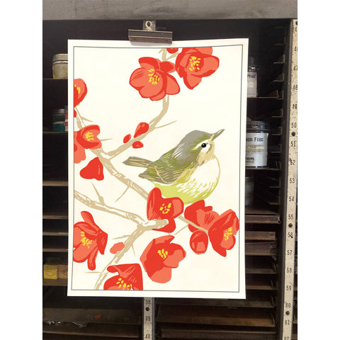 RBI-9139 Flowering Quince Warbling Vireo