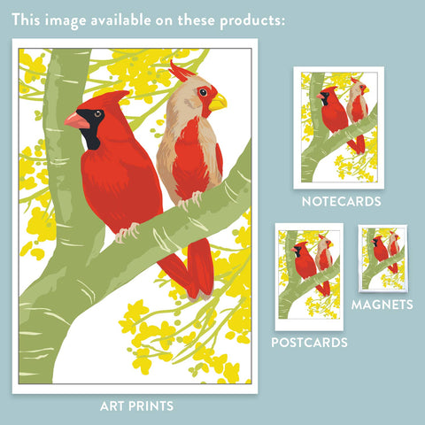 RBI-9145 Cardinal, Pyrrhuloxia and Palo Verde