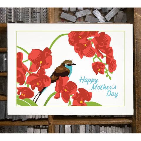 RMD-100 Orchids - Mother's Day