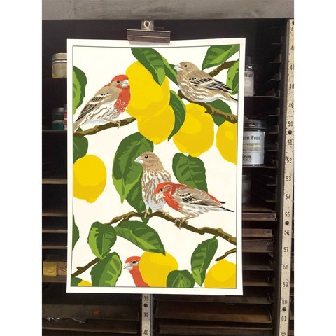 RBI-224 House Finches & Lemons
