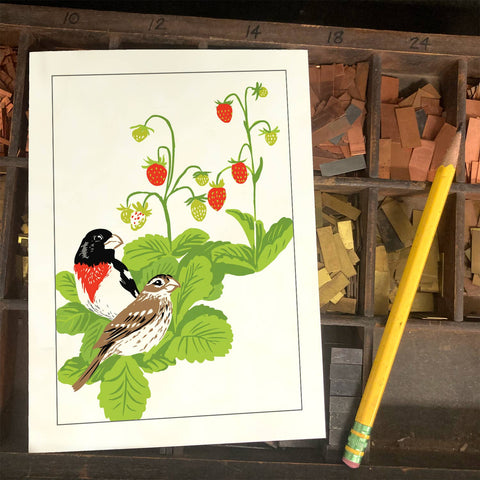RBI-113 Rose Breasted Grosbeaks & Strawberries