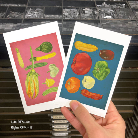 RFM-411 Summer Squash